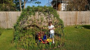 living willow play dome igloo