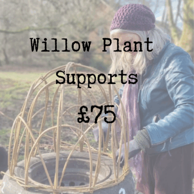Willow Plant Supports Workshop - Friday 16th January 2026