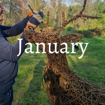 January Workshops