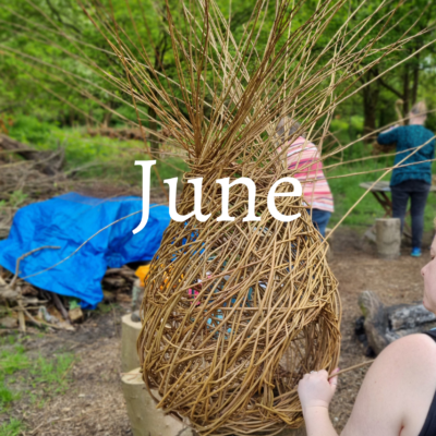 June Workshops