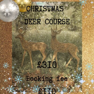 BOOKING FEE to secure a place on the TWO DAY CHRISTMAS Deer Sculpture Course - 7th & 8th November 2025.  FULL COST £310