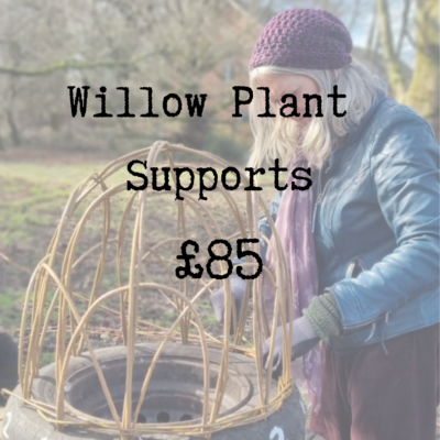 Willow Plant Supports Workshop - Friday 2nd October 2026