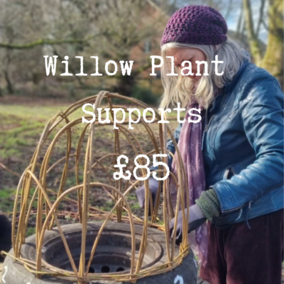 Willow Plant Supports Workshop - Thursday 8th April 2027 9am-12.30