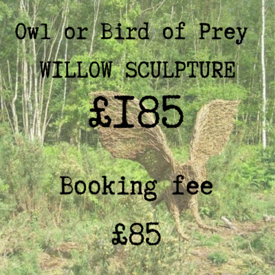 Owl/Bird of Prey Willow Sculpture Workshop - Booking Fee (FULL COST £185) Friday 7th May 2027